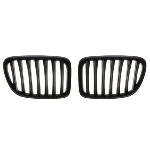 BMW X1 Kidney Grille