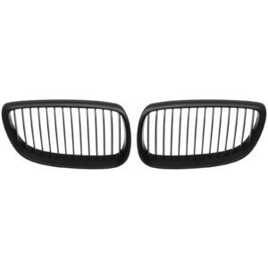 BMW 3 Series E92 Front Kidney Grille